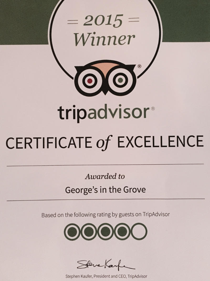 tripadvisor